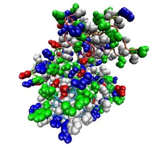 从镜像生物学到增强的治疗蛋白质