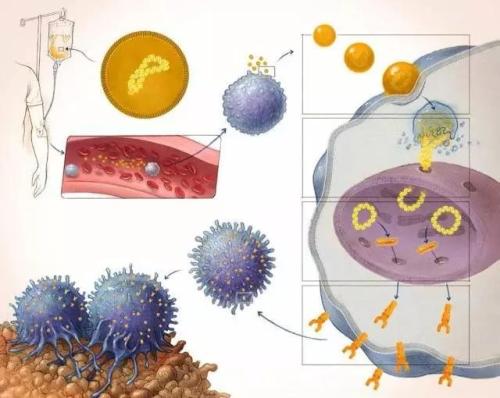 T细胞免疫疗法为罹患癌症的人们带来了巨大希望