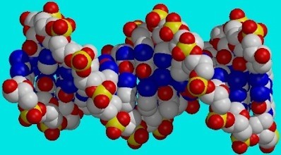 歌德大学的研究人员开发了新的蛋白质组学程序