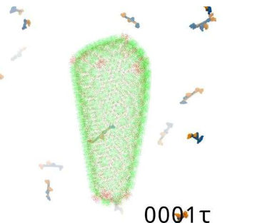 科学家发现阻止HIV感染的分子背后的秘密