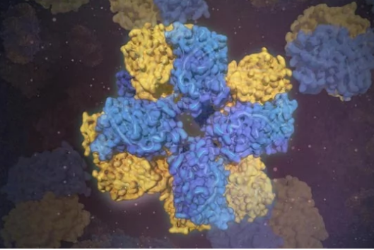 构建新型合成生物分子的新方法