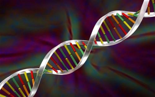 科学家已经在新型患者的粪便中检测到了新的RNA