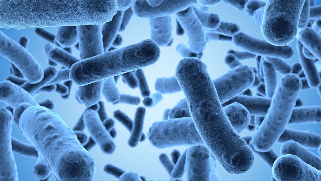 肠道微生物组变化可能解释了早期饮食因素如何带来后期健康风险