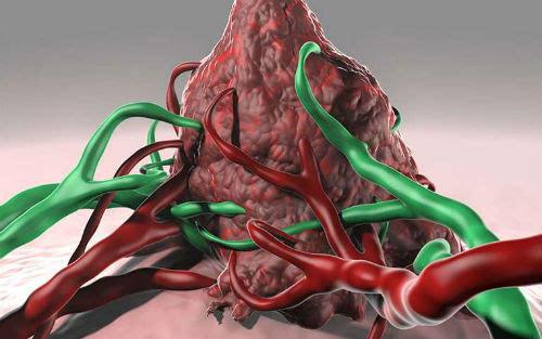 研究人员获得创新资助 以了解血液癌症的生物学基础