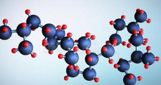 研究揭示了分子水平上交配的后果