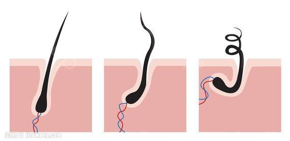 研究发现一些皮肤癌可能始于毛囊
