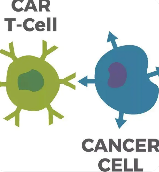 科学家们改造了 CAR T 细胞作为抗癌药物的微型药房