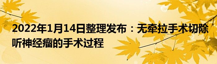 2022年1月14日整理发布：无牵拉手术切除听神经瘤的手术过程