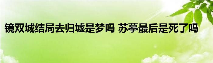 镜双城结局去归墟是梦吗 苏摹最后是死了吗