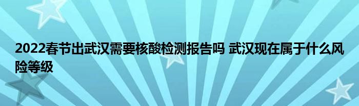 2022春节出武汉需要核酸检测报告吗 武汉现在属于什么风险等级