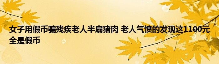 女子用假币骗残疾老人半扇猪肉 老人气愤的发现这1100元全是假币