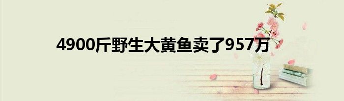 4900斤野生大黄鱼卖了957万