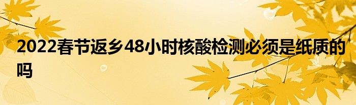 2022春节返乡48小时核酸检测必须是纸质的吗