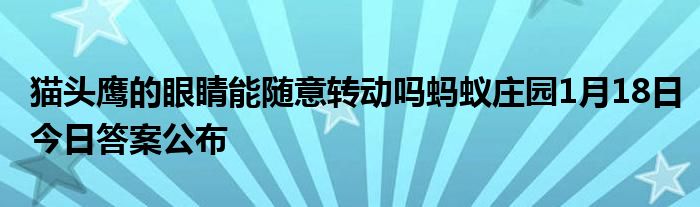 猫头鹰的眼睛能随意转动吗蚂蚁庄园1月18日今日答案公布