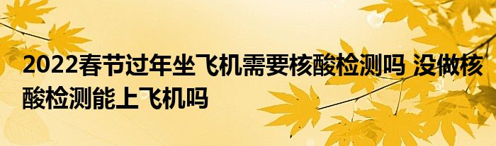 2022春节过年坐飞机需要核酸检测吗 没做核酸检测能上飞机吗