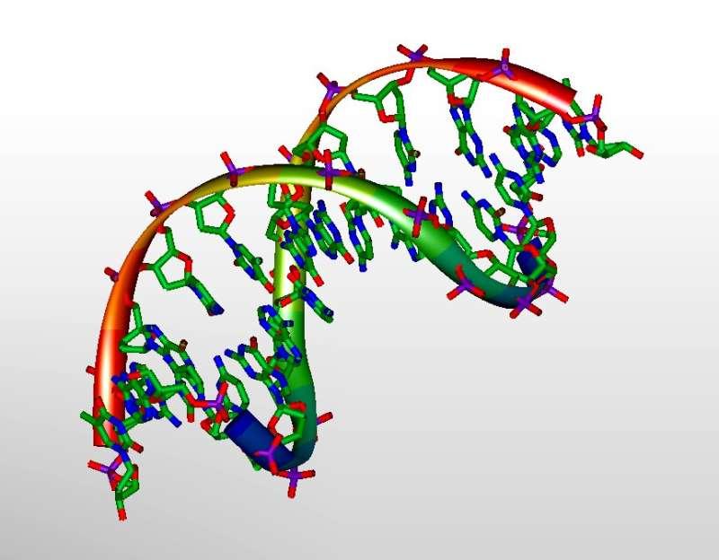 新的详细免疫分析方法仅使用血液中的 DNA