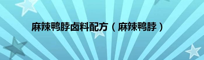 麻辣鸭脖卤料配方（麻辣鸭脖）