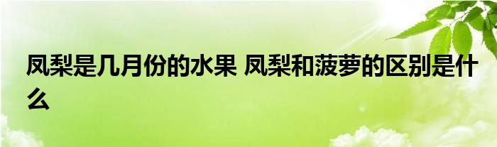 凤梨是几月份的水果 凤梨和菠萝的区别是什么