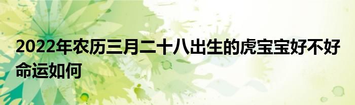 2022年农历三月二十八出生的虎宝宝好不好 命运如何