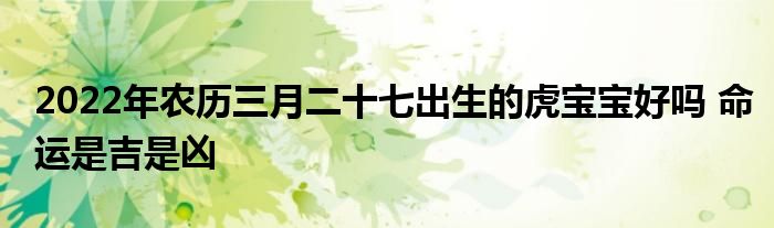 2022年农历三月二十七出生的虎宝宝好吗 命运是吉是凶