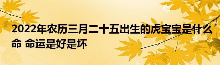 2022年农历三月二十五出生的虎宝宝是什么命 命运是好是坏