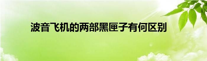 波音飞机的两部黑匣子有何区别