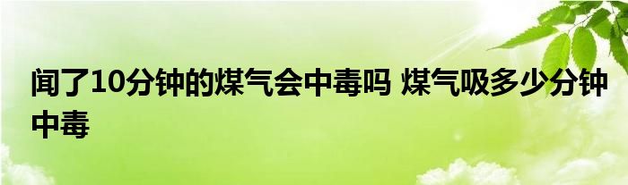 闻了10分钟的煤气会中毒吗 煤气吸多少分钟中毒