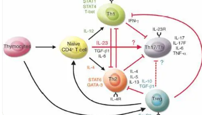 科学家发现肿瘤微环境中T细胞相互作用的差异