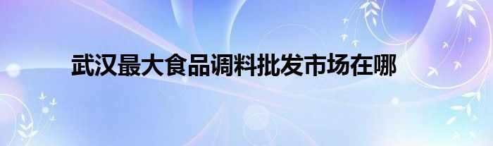 武汉最大食品调料批发市场在哪