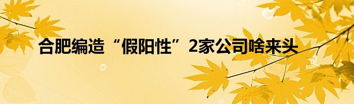 合肥编造“假阳性”2家公司啥来头