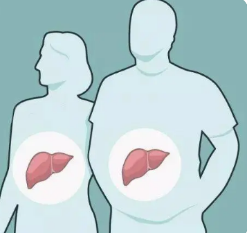 研究发现脂肪肝患者的预期寿命更短