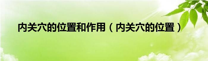 内关穴的位置和作用（内关穴的位置）