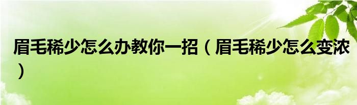 眉毛稀少怎么办教你一招（眉毛稀少怎么变浓）