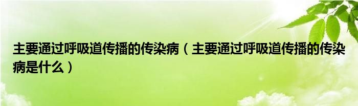 主要通过呼吸道传播的传染病（主要通过呼吸道传播的传染病是什么）