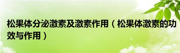 松果体分泌激素及激素作用（松果体激素的功效与作用）