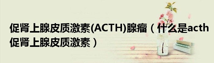 促肾上腺皮质激素(ACTH)腺瘤（什么是acth促肾上腺皮质激素）