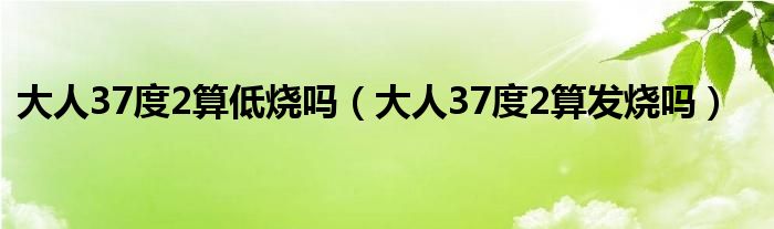 大人37度2算低烧吗（大人37度2算发烧吗）