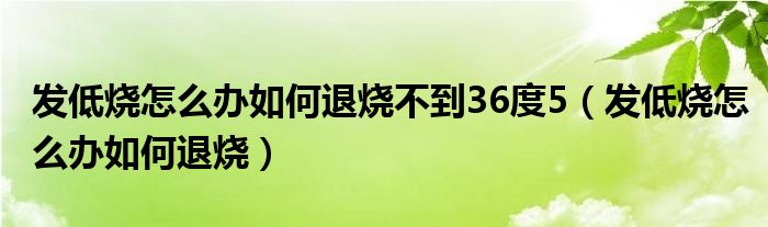 发低烧怎么办如何退烧不到36度5（发低烧怎么办如何退烧）