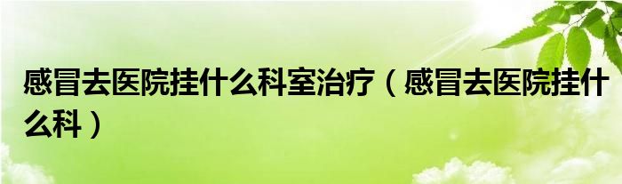 感冒去医院挂什么科室治疗（感冒去医院挂什么科）