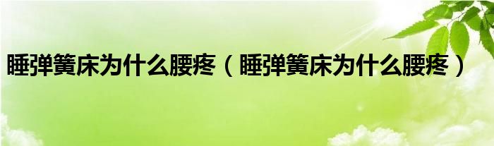 睡弹簧床为什么腰疼（睡弹簧床为什么腰疼）