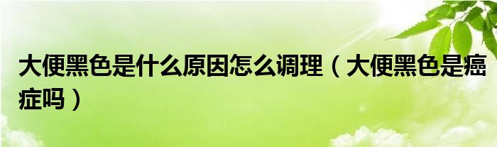 大便黑色是什么原因怎么调理（大便黑色是癌症吗）