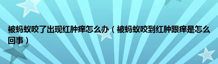 被蚂蚁咬了出现红肿痒怎么办（被蚂蚁咬到红肿跟痒是怎么回事）