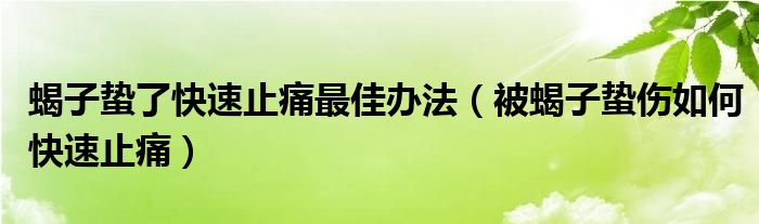 蝎子蛰了快速止痛最佳办法（被蝎子蛰伤如何快速止痛）