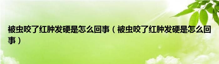 被虫咬了红肿发硬是怎么回事（被虫咬了红肿发硬是怎么回事）