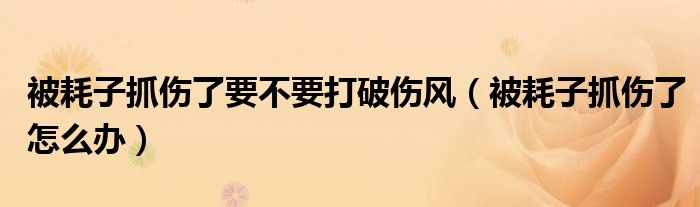 被耗子抓伤了要不要打破伤风（被耗子抓伤了怎么办）