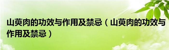 山萸肉的功效与作用及禁忌（山萸肉的功效与作用及禁忌）