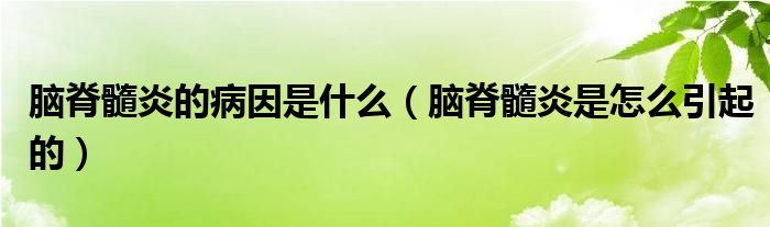 脑脊髓炎的病因是什么（脑脊髓炎是怎么引起的）