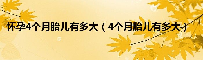 怀孕4个月胎儿有多大（4个月胎儿有多大）