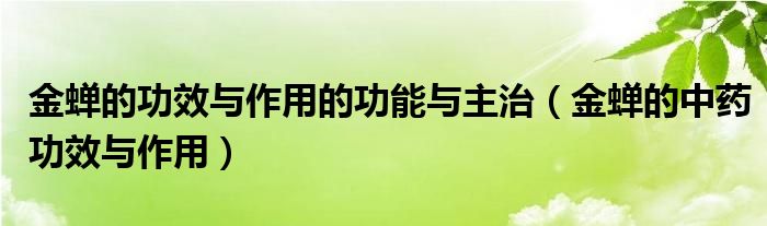 金蝉的功效与作用的功能与主治（金蝉的中药功效与作用）