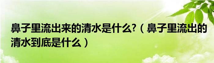 鼻子里流出来的清水是什么?（鼻子里流出的清水到底是什么）